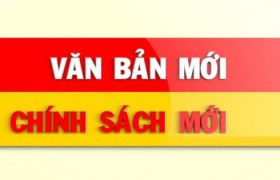 Thông báo số điện thoại đường dây nóng giải đáp phản ánh, kiến nghị của người lao động trong quá trình triển khai các chính sách theo Quyết định số 23/2021/QĐ-TTg ngày 07/7/2021 của Thủ tướng Chính Phủ